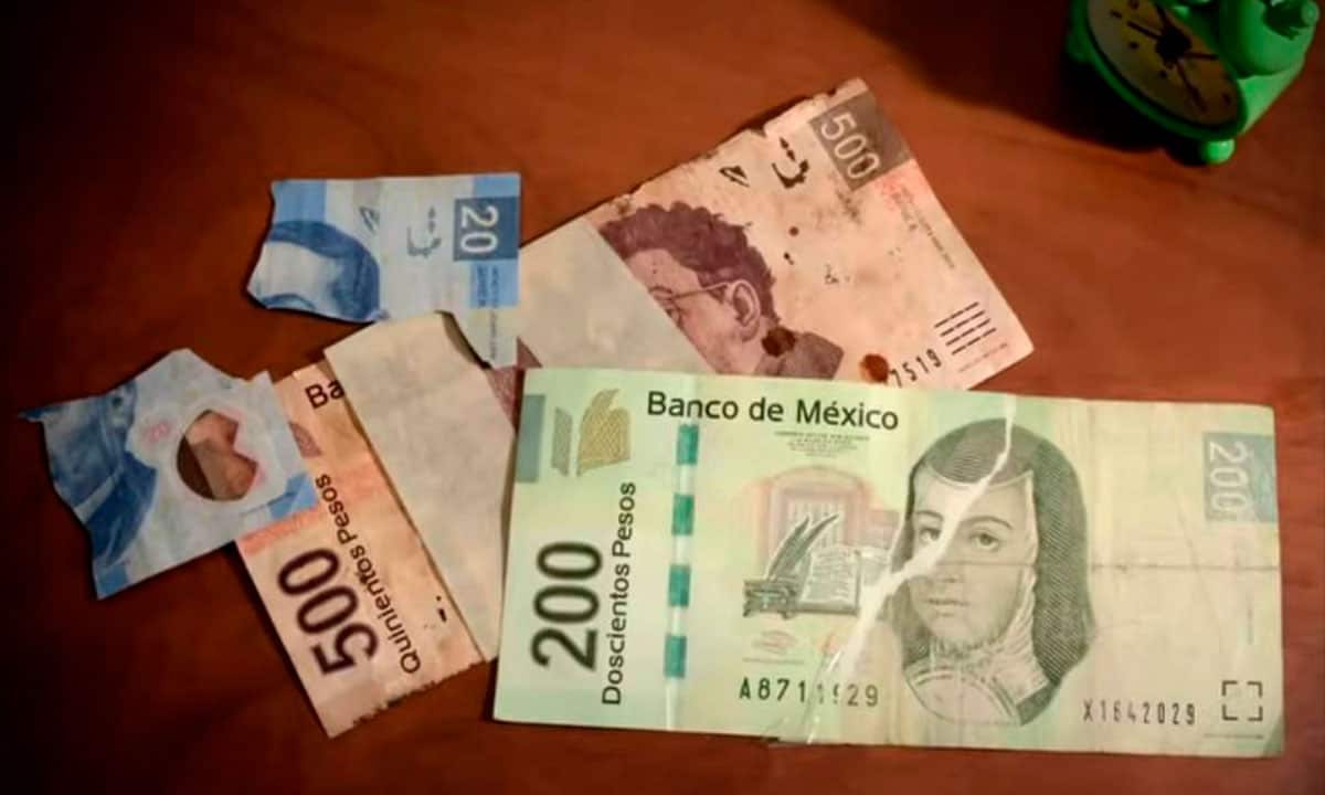 Banxico: Este es el ciclo de vida de los billetes y monedas