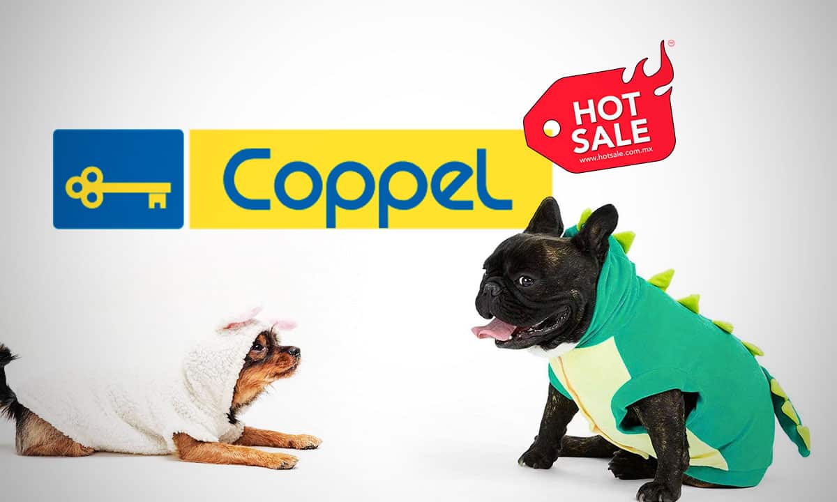 Venta de ropa para mascotas crece 125.6% durante el Hot Sale 2023: Coppel