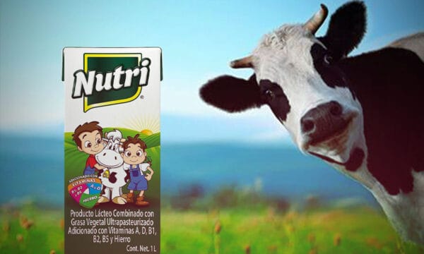 ¿Quién es el dueño de la ‘leche’ Nutri? Esta es la empresa detrás