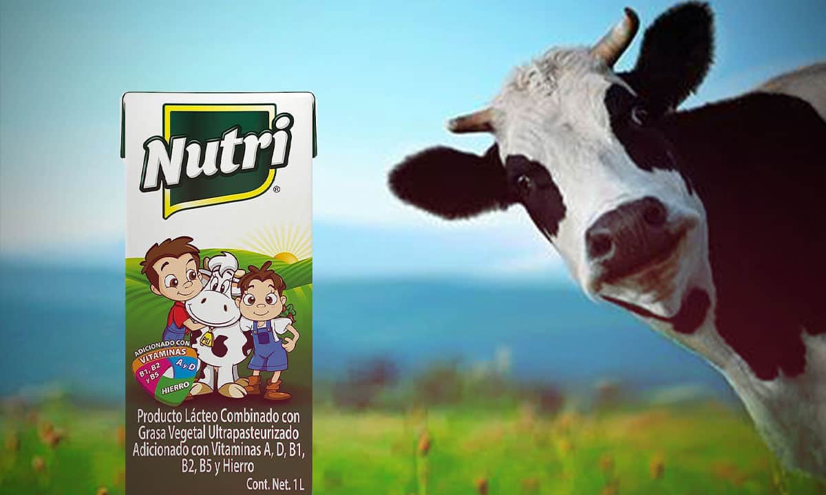 ¿Quién es el dueño de la ‘leche’ Nutri? Esta es la empresa detrás