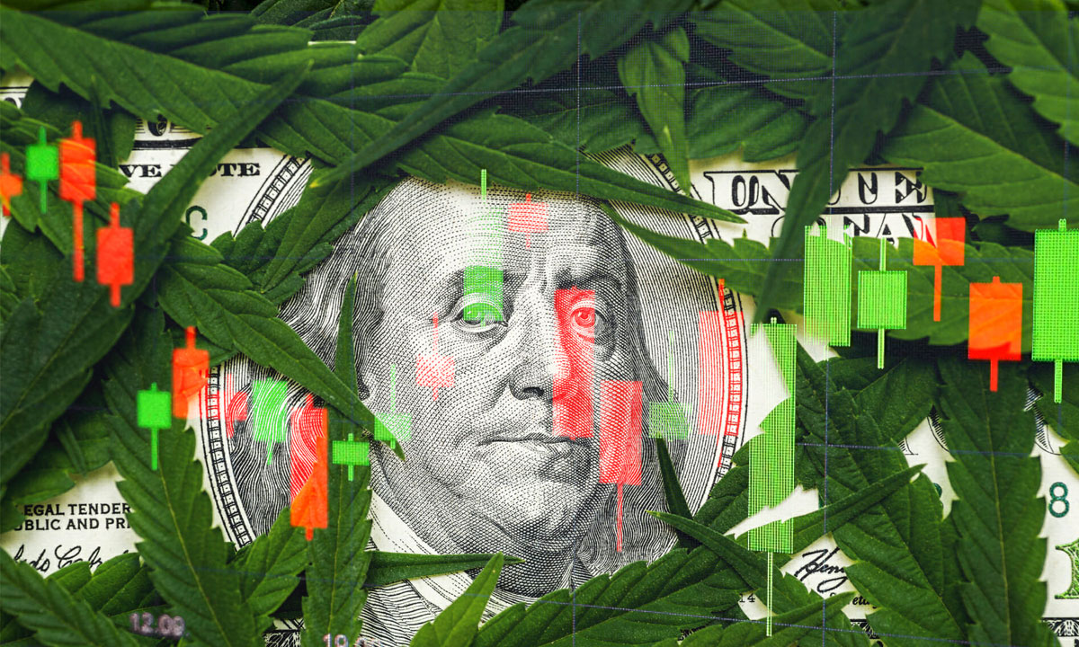 Las weed stocks ‘vuelan’ tras llamado a quitar restricciones a la marihuana en EU