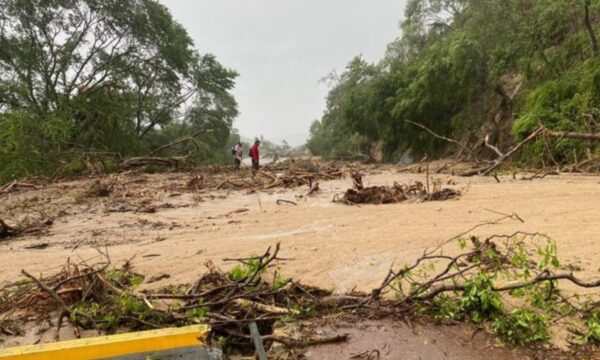 Huracán Otis: empresas se preparan para recolectar y llevar víveres a Guerrero