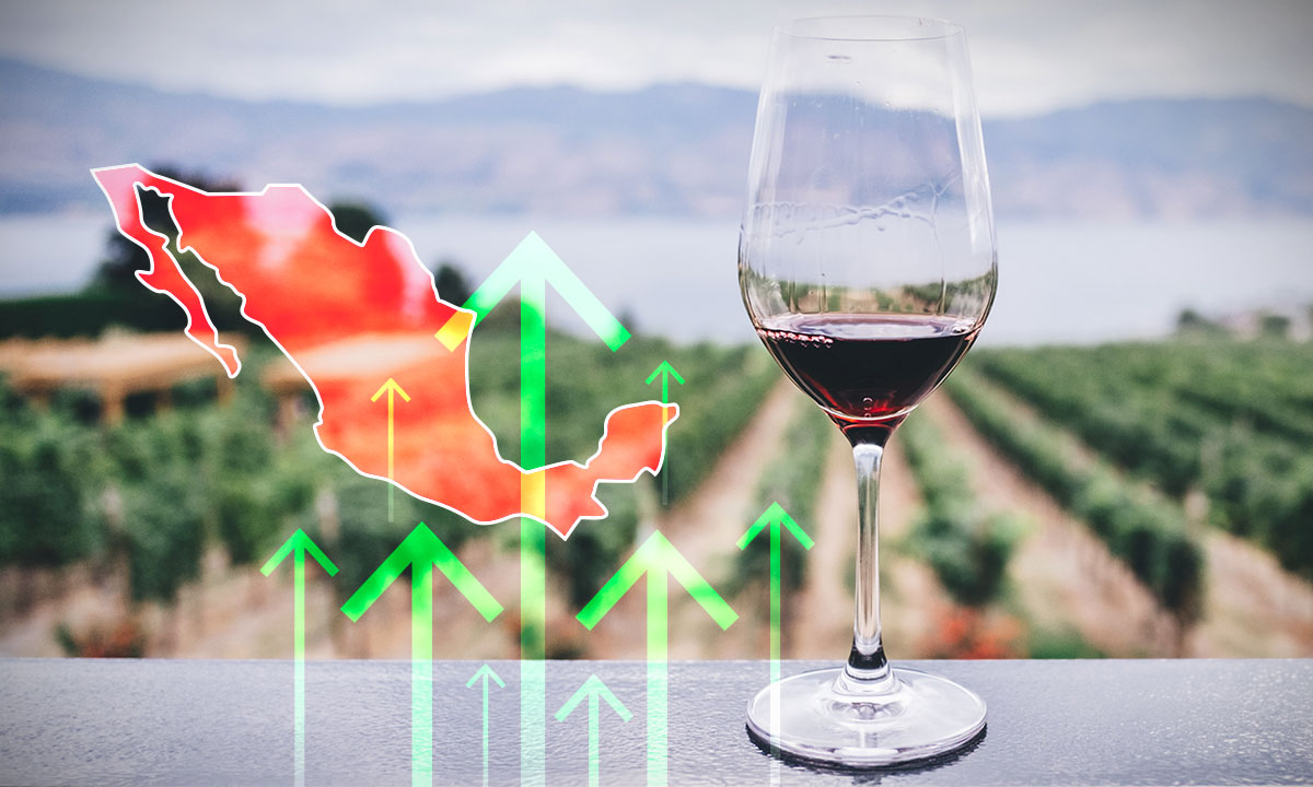 Vino mexicano buscará duplicar su producción y consumo en los próximos 10 años