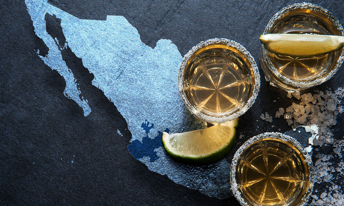 ¿El tequila sólo se hace en Jalisco? Estos son 5 estados que lo pueden producir
