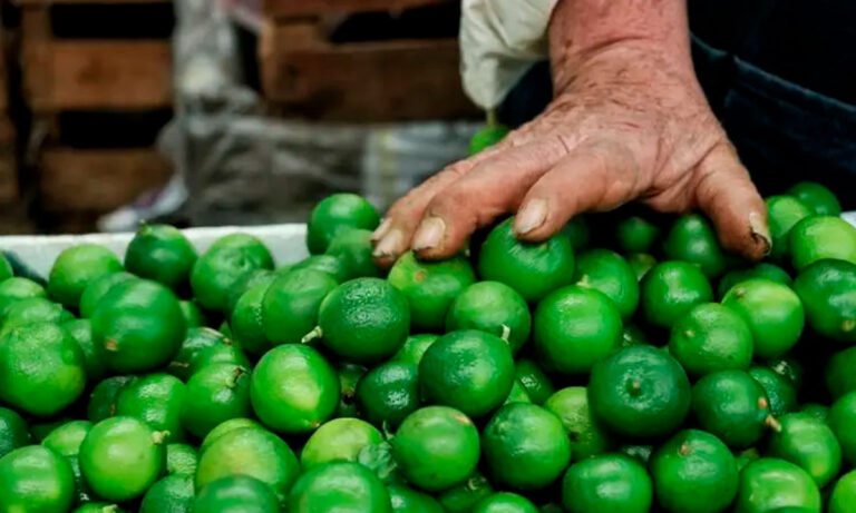 Guerrero experimentará una ‘oleada’ en sus precios al consumidor por Otis