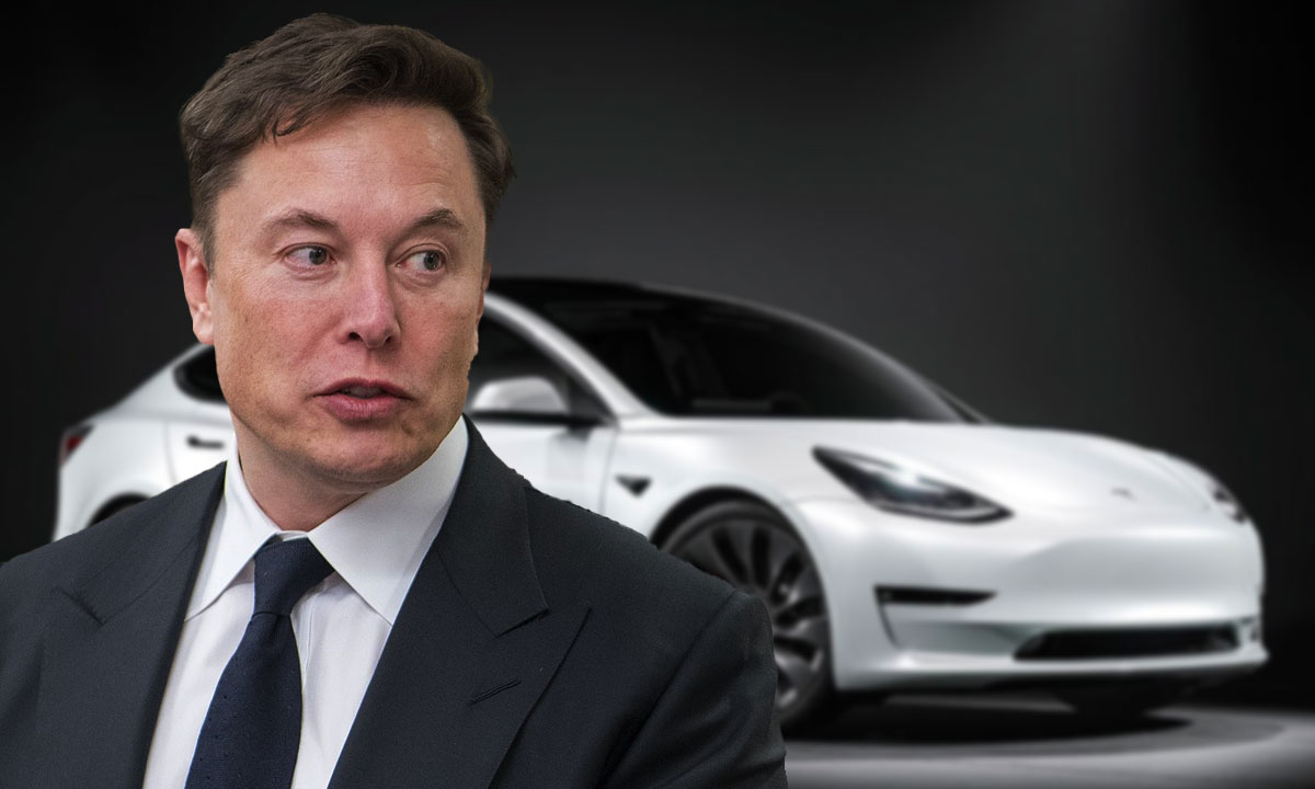 Tesla: Precios y modelos de sus autos en noviembre de 2023