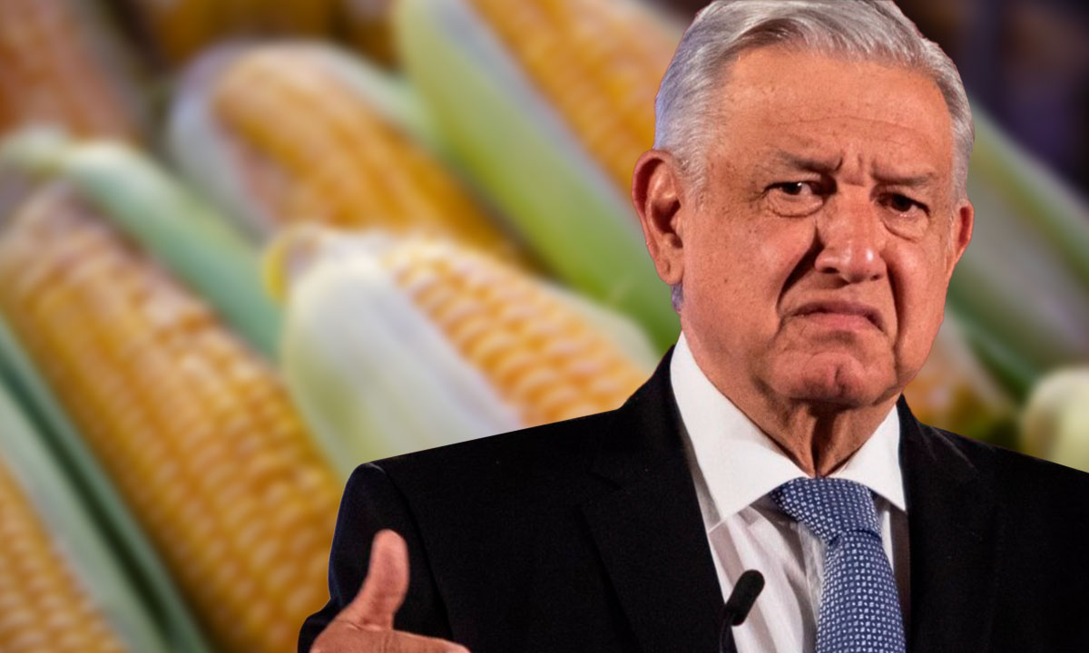 AMLO reitera que México no permitirá la importación y el consumo del maíz transgénico