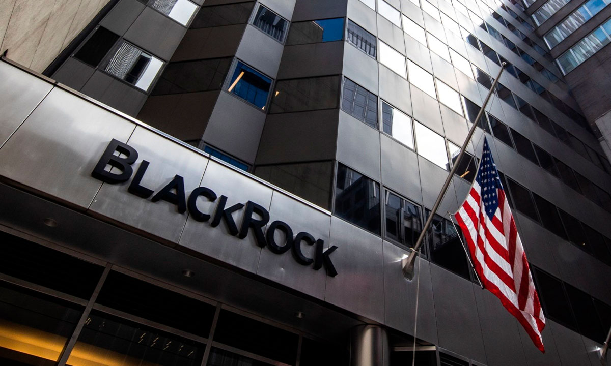 ¿Por qué BlackRock tiene acciones en tantas empresas?