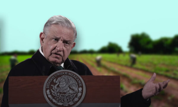 AMLO busca elevar apoyos a productores del campo a rango constitucional