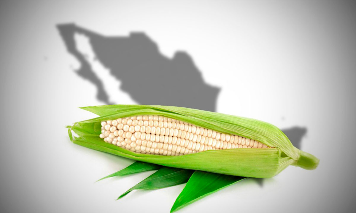 Secretario de Agricultura afirma que México es autosuficiente en maíz blanco