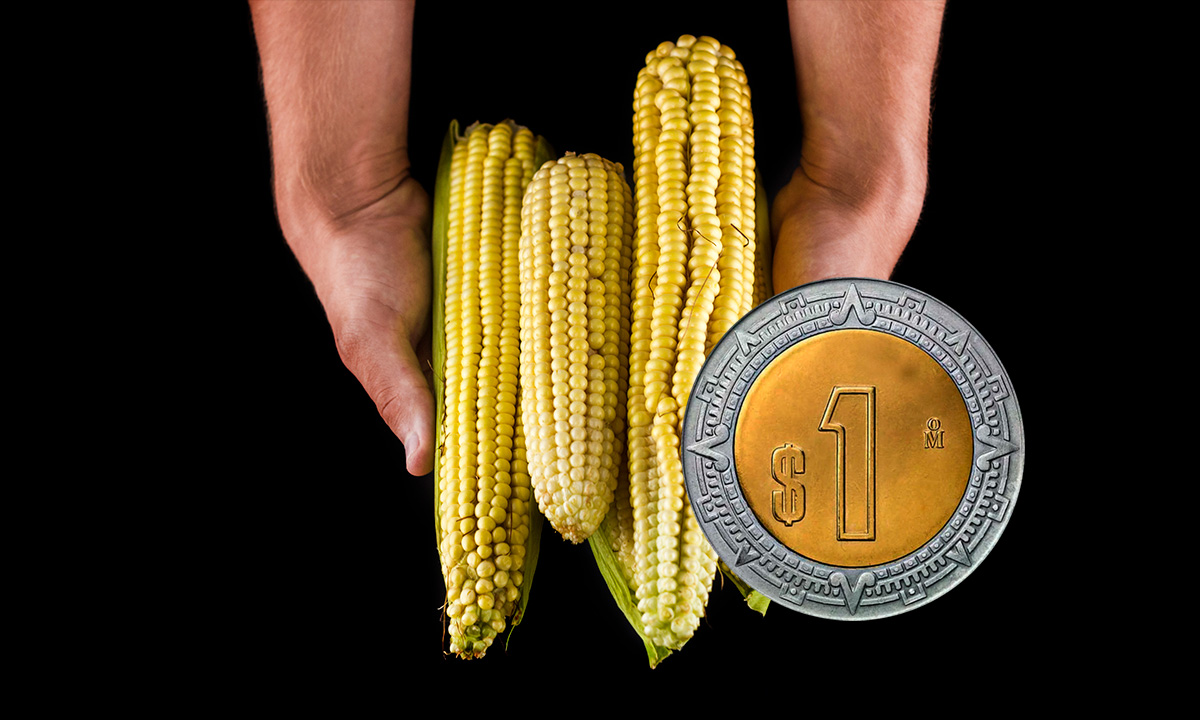 Disputa por maíz transgénico se resolverá en gobierno actual: Economía