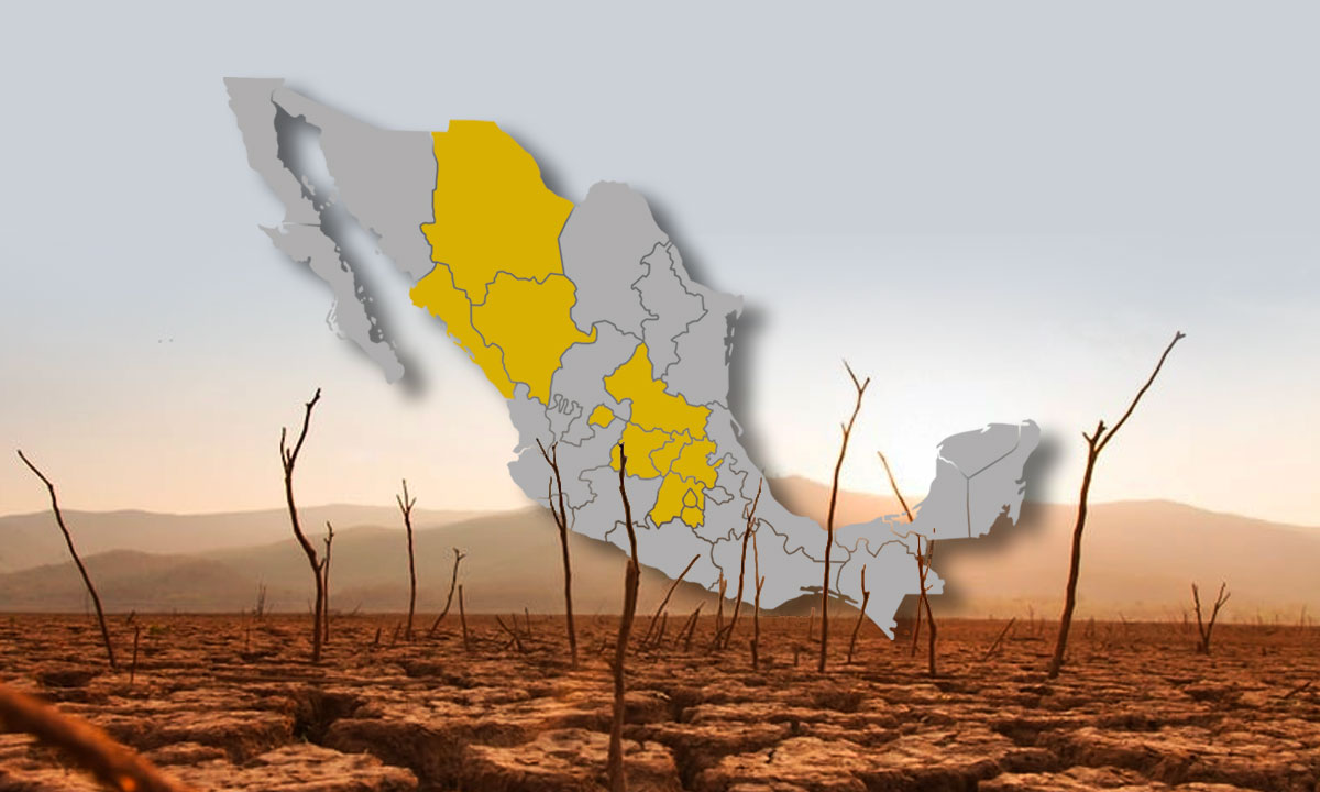 Sequía en México: este es el estado con mayores afectaciones