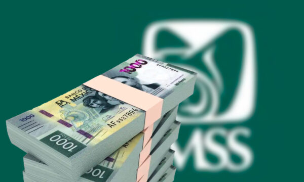 Afores sólo han devuelto al IMSS 946 mdp de los 34,000 mdp de cuentas inactivas