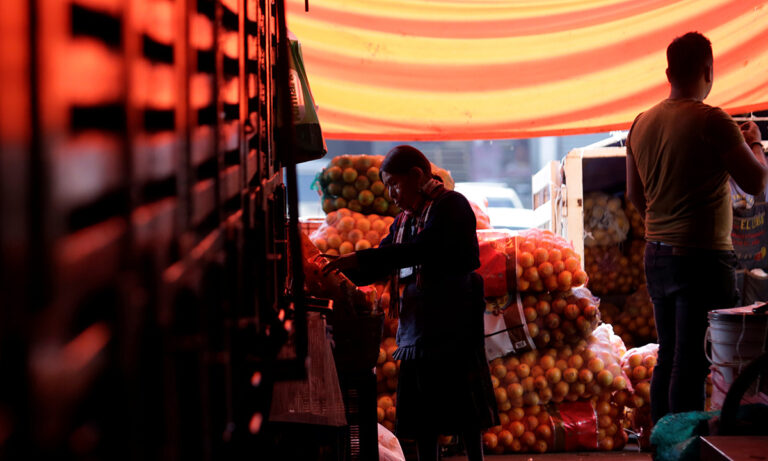 ¿Cómo se dividen los pasillos de la Central de Abasto?