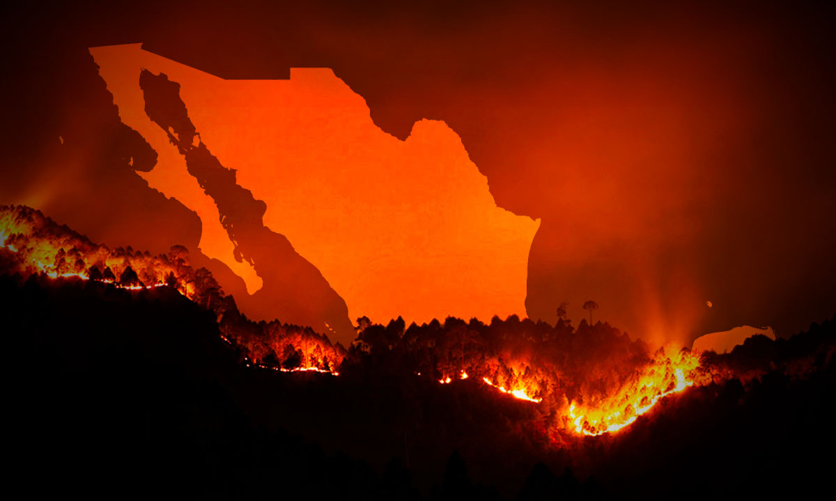 Crisis en los bosques de México: se están combatiendo 159 incendios forestales