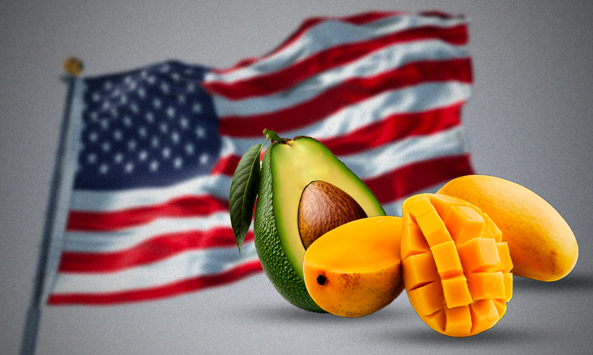 Estados Unidos reiniciará inspecciones de aguacate y mango en México