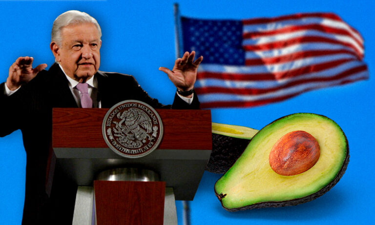 AMLO pide intervención de la Cancillería en la problemática del aguacate en EU