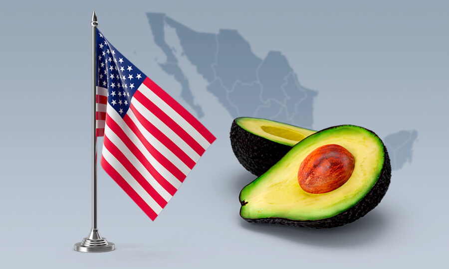 Exportaciones de aguacate y fresa desde México cayeron más de 20% en la primera mitad del 2026