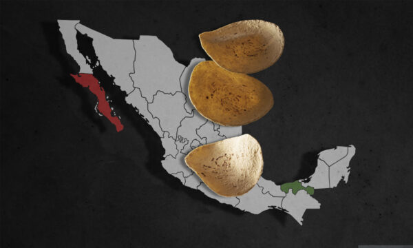 Precio de la tortilla aumentó con AMLO; Baja California y Tamaulipas con el mayor costo