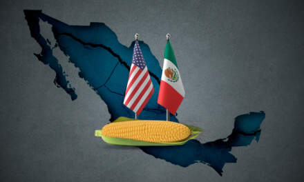 México pierde panel sobre maíz transgénico; SE dice que respetará la decisión