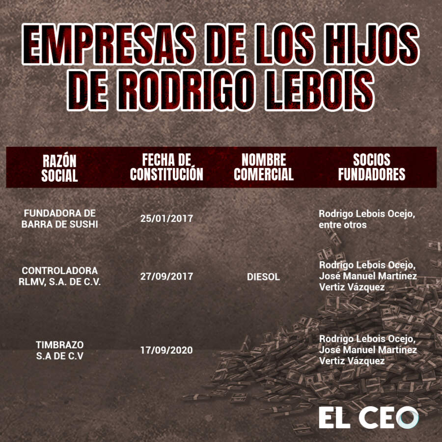 Empresas de hijos de Rodrigo Lebois