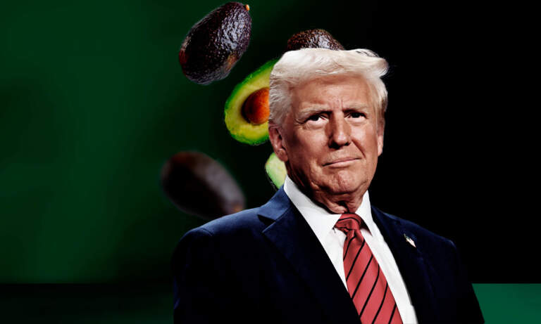 ¿‘Crisis del aguacate’? Aranceles de Donald Trump podrían encarecerlo