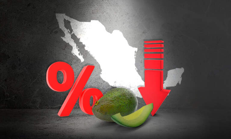 Exportaciones de aguacate: ¿el ‘producto estrella mexicano’ en riesgo con Donald Trump?