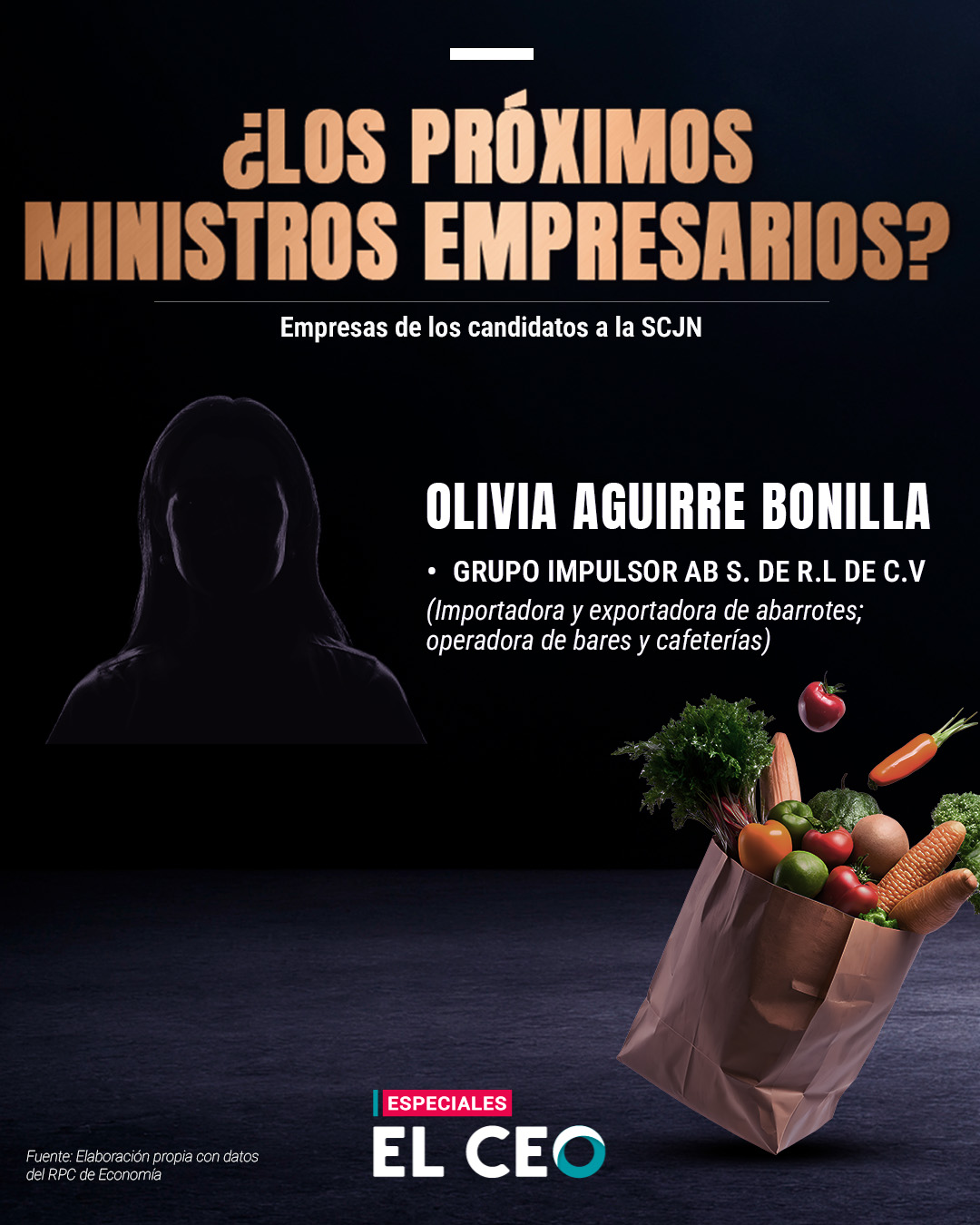 Las empresas de los candidatos a ministros de la SJCN