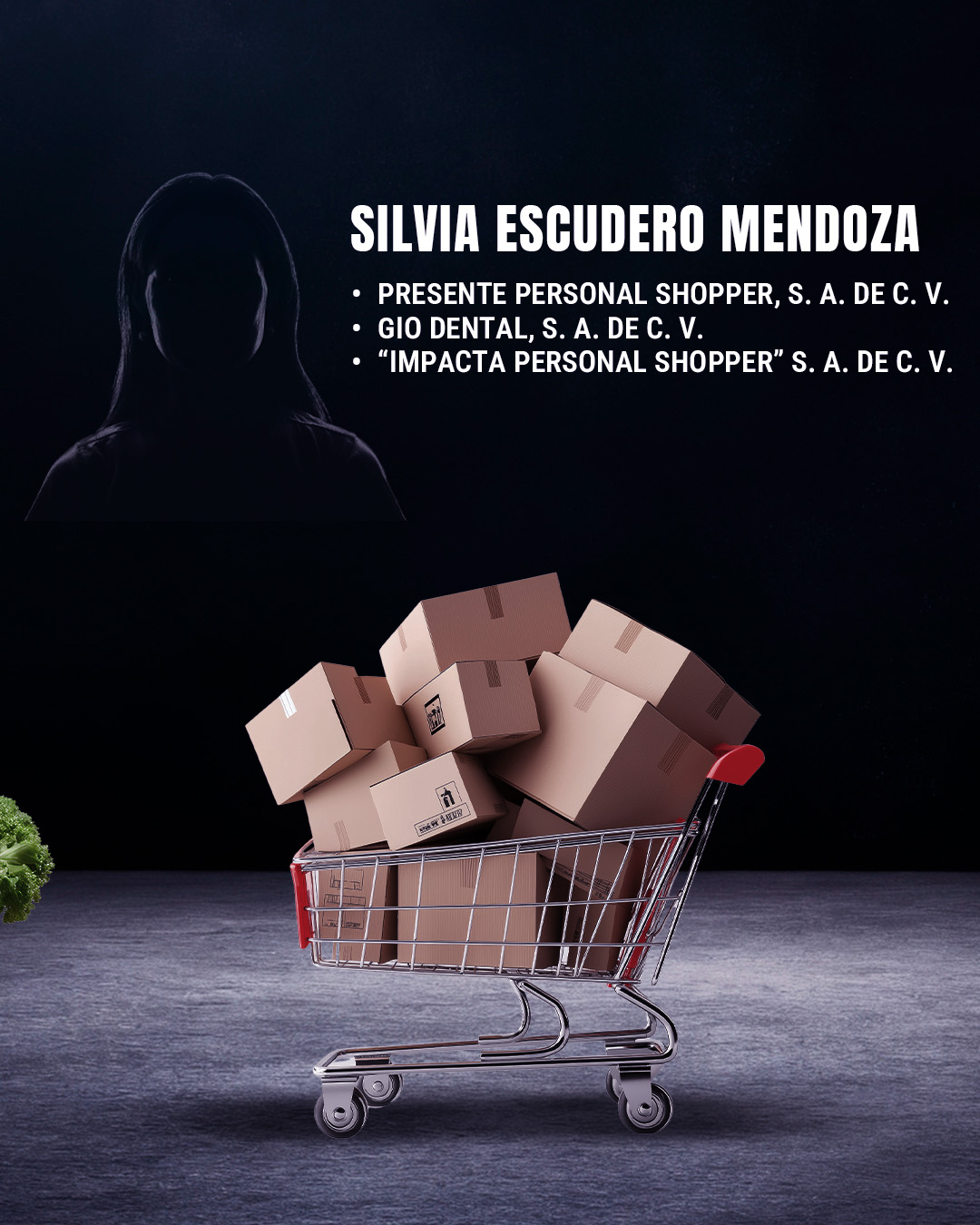 Empresas de Silvia Escudero Mendoza, candidata a la SCJN