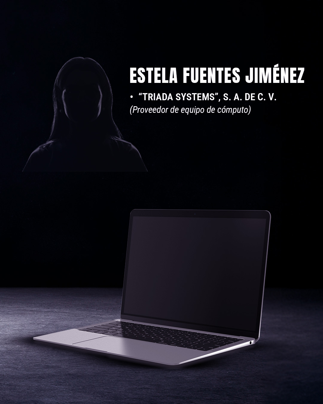 Empresas de Estela Fuentes Jiménez, candidata a la SJCN