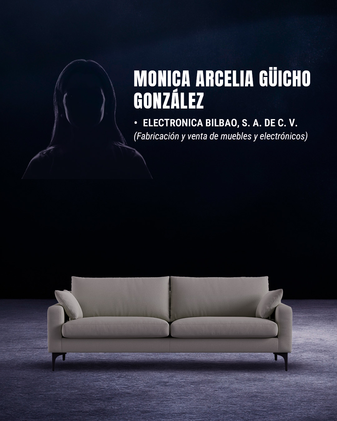 Las empresas de Mónica Arcelia Güicho González, candidata a la SCJN
