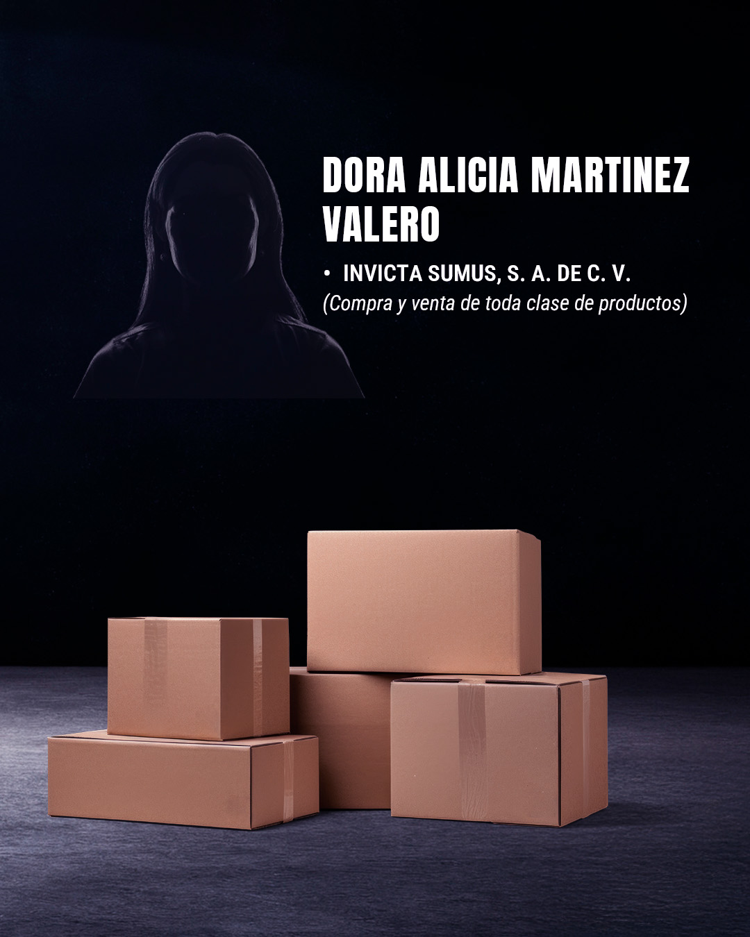 Las empresas de Dora Alicia Martínez Valero, candidata a la SCJN