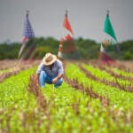 Revisión del T-MEC traerá al agro mexicano una inspección más estricta
