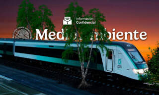 #InformaciónConfidencial: Peritajes advierten impactos severos e irreversibles del Tren Maya