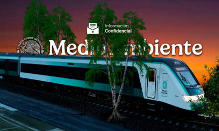 #InformaciónConfidencial: Peritajes advierten impactos severos e irreversibles del Tren Maya