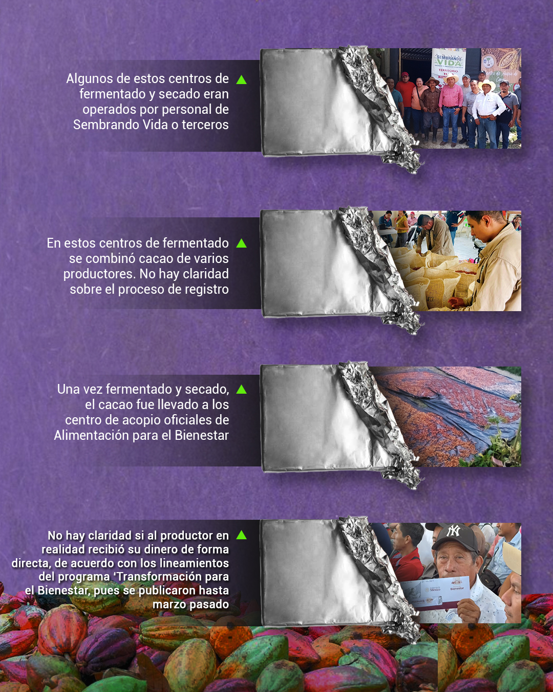 Sin lineamientos, comenzó el acopio de cacao para el Chocolate Bienestar