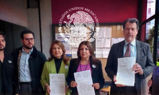 Elección judicial: exigen nulidad por violación a principio constitucional