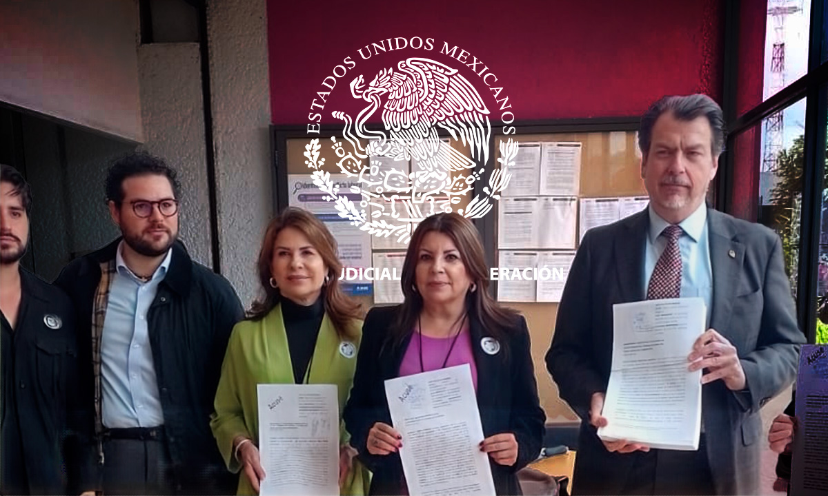 Elección judicial: exigen nulidad por violación a principio constitucional