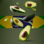 Aguacate mexicano llegará a Brasil, el mercado más grande de Latam