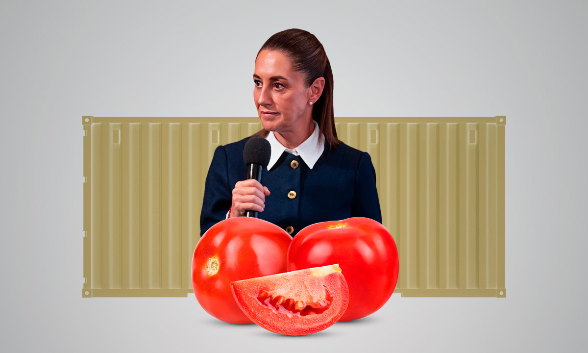 Claudia Sheinbaum defiende exportación de tomate a EU; ‘no hay sustituto para este producto’