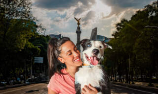 Día del Perro: atender a ‘lomitos’ es más caro que nunca