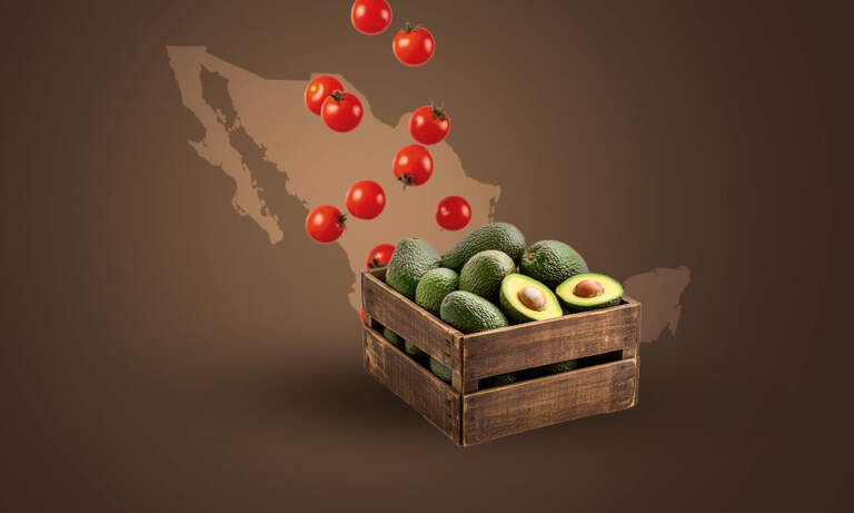 Guerra golpea a las exportaciones agropecuarias mexicanas