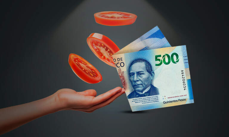 ¿Qué pasará con el precio del tomate en México tras los aranceles en EU?