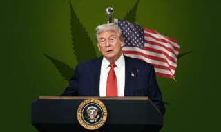 Marihuana al alza: Donald Trump considera reclasificarla como sustancia menos peligrosa