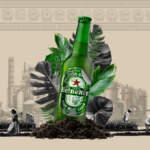 Heineken en Yucatán: la historia de ‘despojo’ para construir la fábrica de cerveza en tierra maya