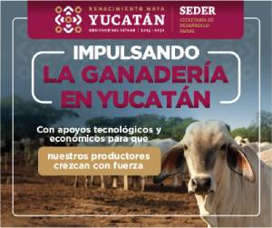 Yucatán