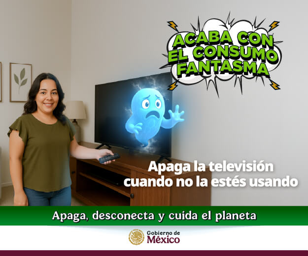 CFE Contigo