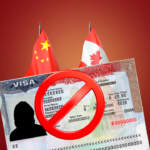 China y Canadá buscan atraer a personas que no obtengan la visa H-1B de Estados Unidos