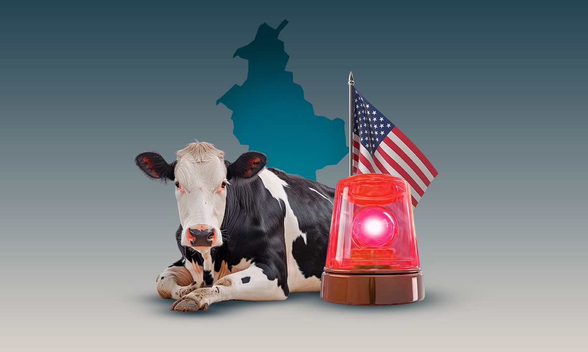 Estados Unidos enciende las alarmas por nuevo caso de gusano barrenador en Nuevo León