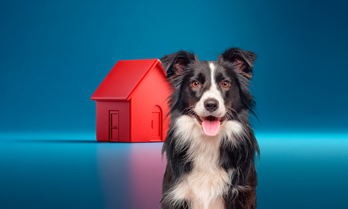 Nueva Ley de Vivienda en CDMX prohíbe negar renta o compra de vivienda a personas con niños o mascotas